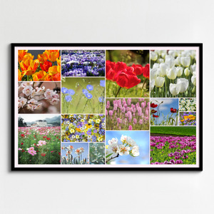Crea il tuo collage foto fiori e piante – stampa premium: rose, tulipani, prati in fiore