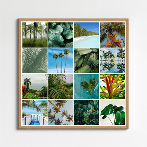 Collage foto natura tropicale – stampa premium: Crea ora palme, foresta pluviale e spiagge