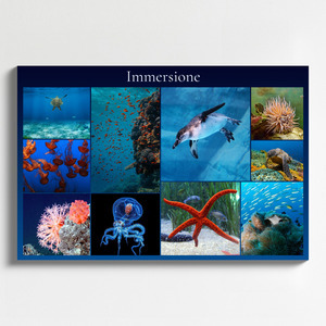 Collage foto subacquee: animali marini e immersioni – crea e stampa il tuo collage premium