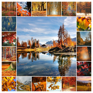 Collage foto natura 4 stagioni - crea e stampa premium con modelli per paesaggi e animali