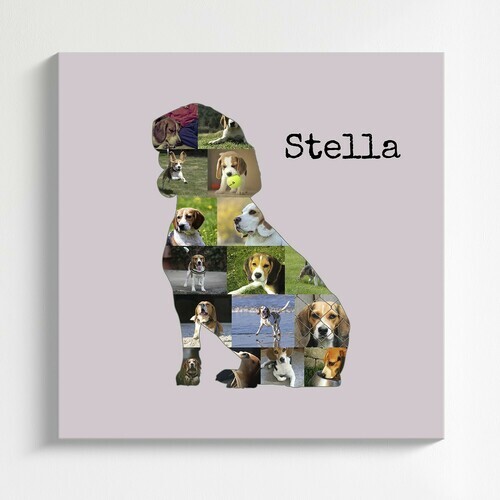 Collage Beagle: Crea un ricordo personalizzato del tuo amico a quattro zampe!