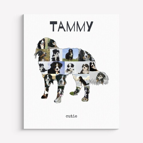 Crea la tua Collage Berner con Foto del tuo Cane e Testo Personalizzato