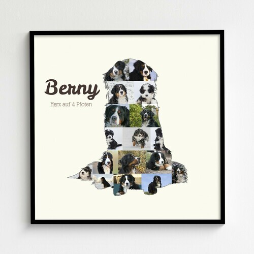 Crea la tua Collage Berner con Foto del tuo Cane e Testo Personalizzato