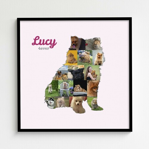 Crea la tua Collage Pomeranian con Foto e Testo Personalizzato