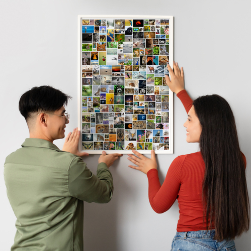 Crea la tua collage foto selvaggio personalizzata per la tua parete!