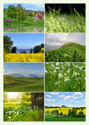 Collage foto natura 4 stagioni - crea e stampa premium con modelli per paesaggi e animali