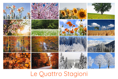 Collage foto natura 4 stagioni - crea e stampa premium con modelli per paesaggi e animali