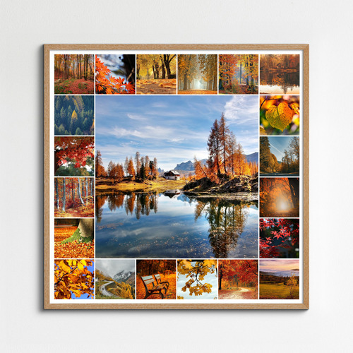 Collage foto natura 4 stagioni - crea e stampa premium con modelli per paesaggi e animali