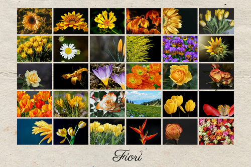 Poster collage a griglia con fiori - personalizza foto e testo, ordina ora